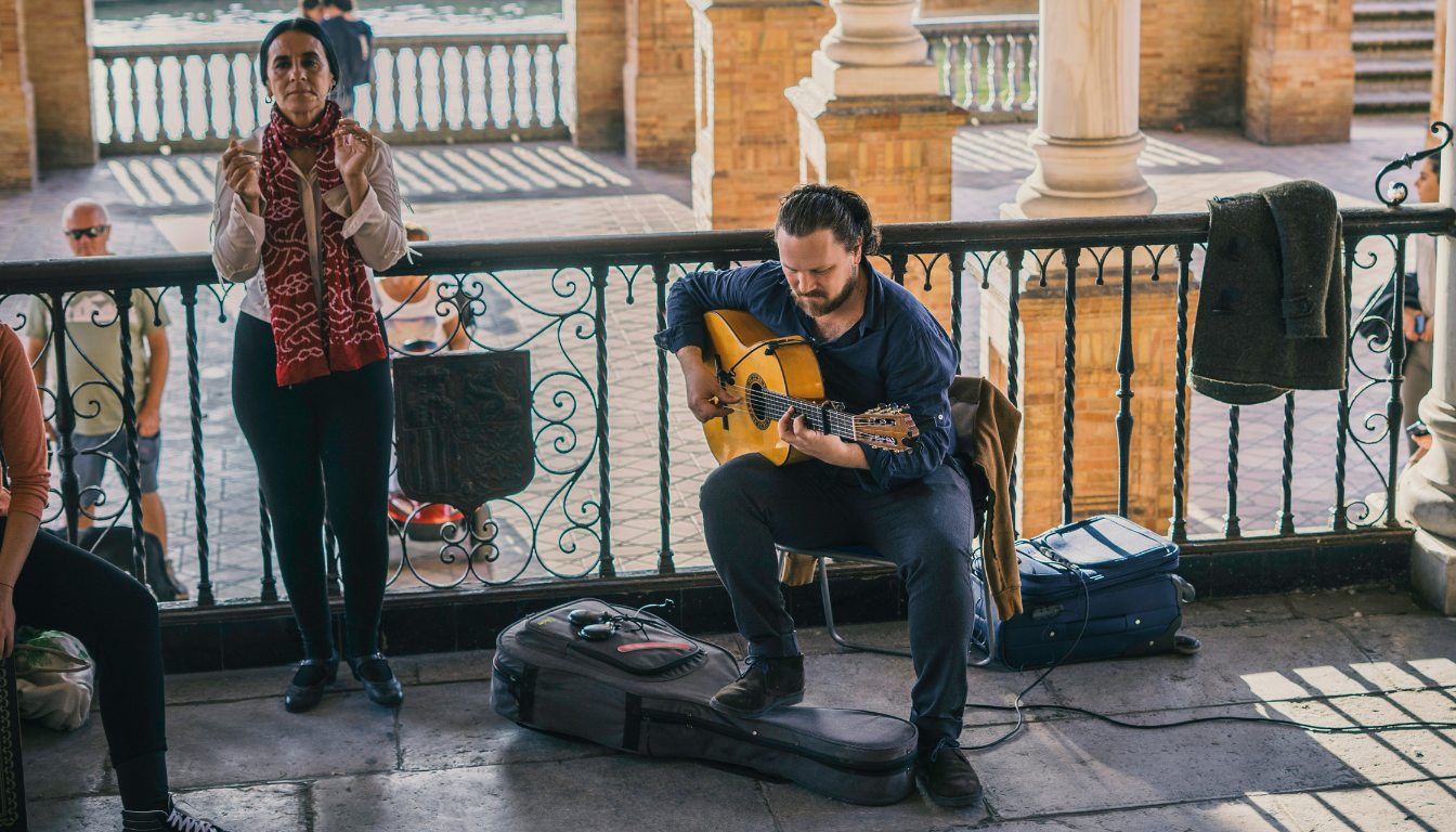 Flamenco Guitarist