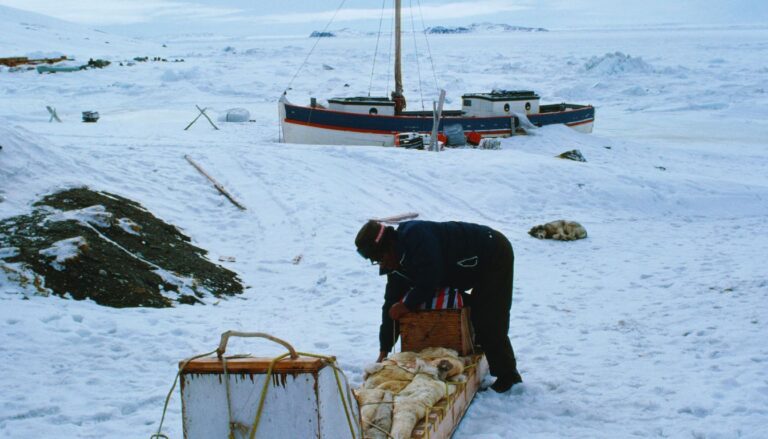 Inuit Hunting