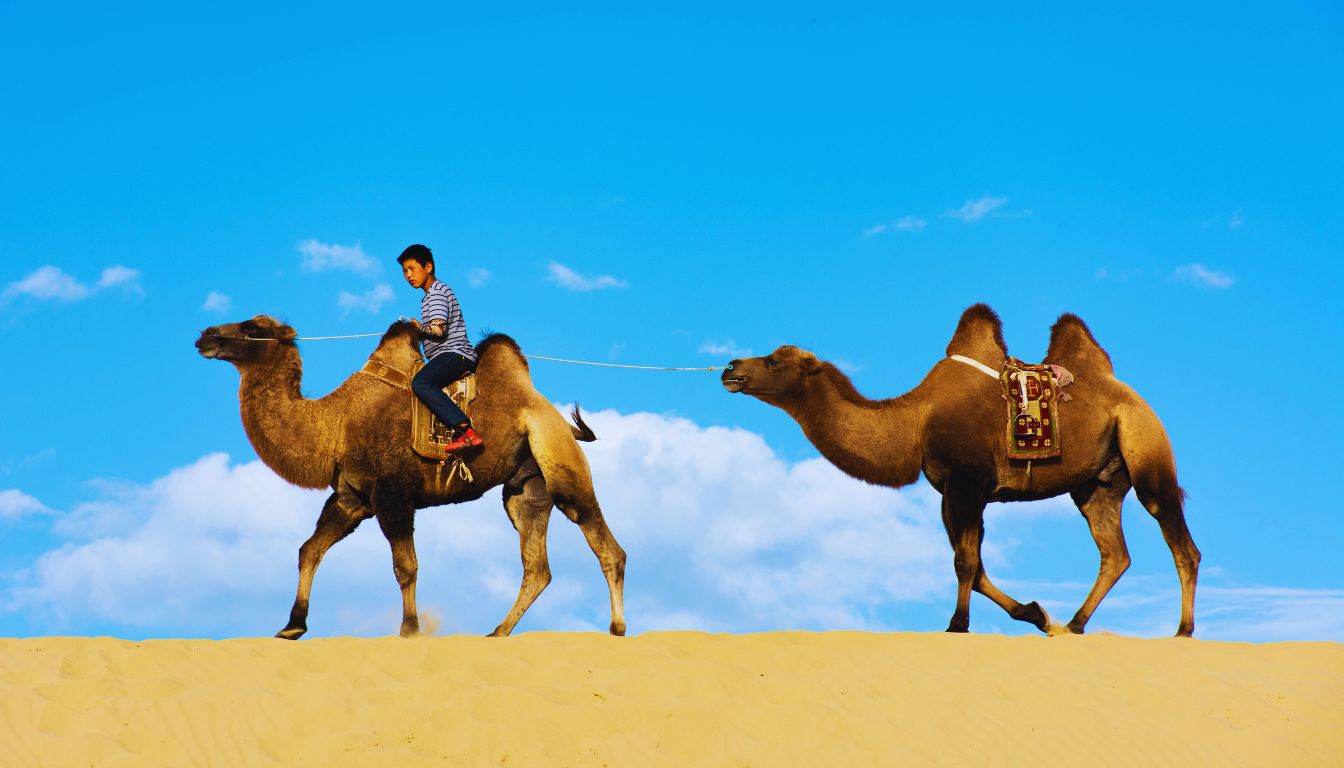 Gobi Desert Nomadic Heritage