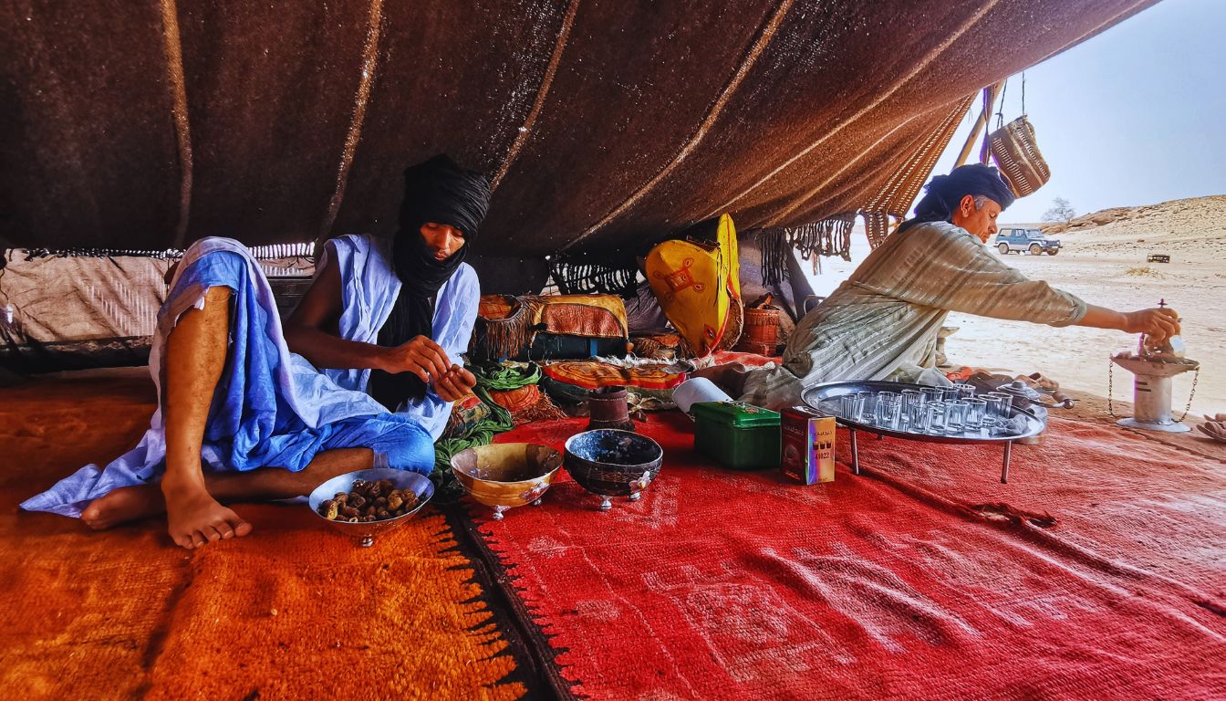 Tuareg Nomadic Life: Traditions and Survival in the Sahara