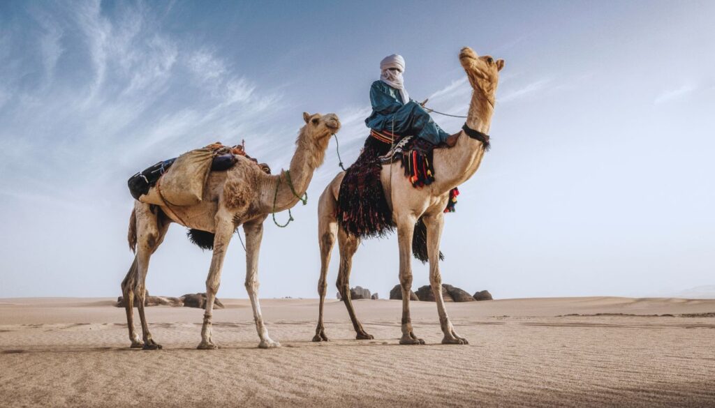 Tuareg Nomads Blue People