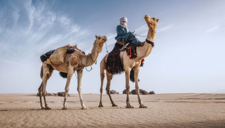 Tuareg Culture Blue people Sahara