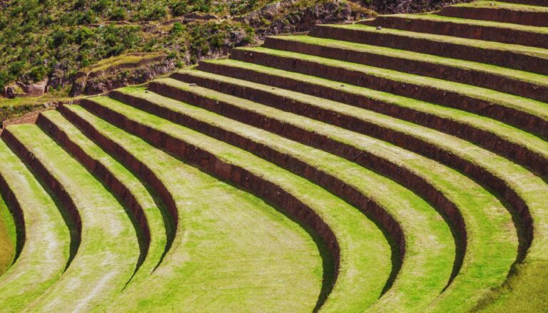 Quechua Agriculture